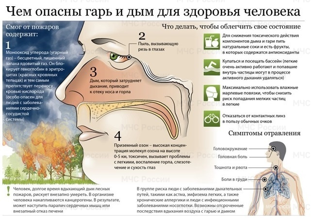 Как защититься от смога и задымления при лесных пожарах